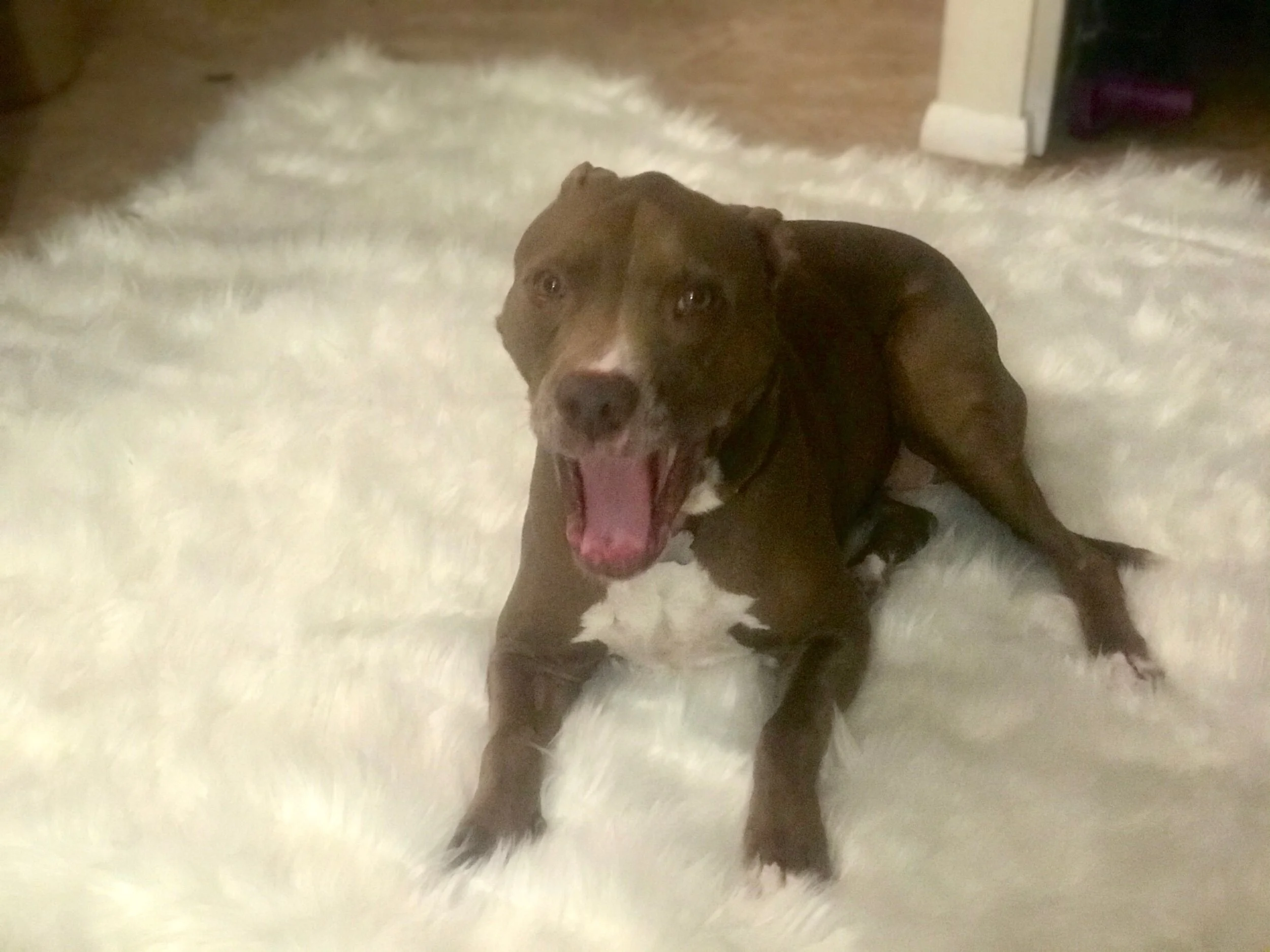 6A71BAEC-E49F-44A1-9F66-610EC7ABABD1