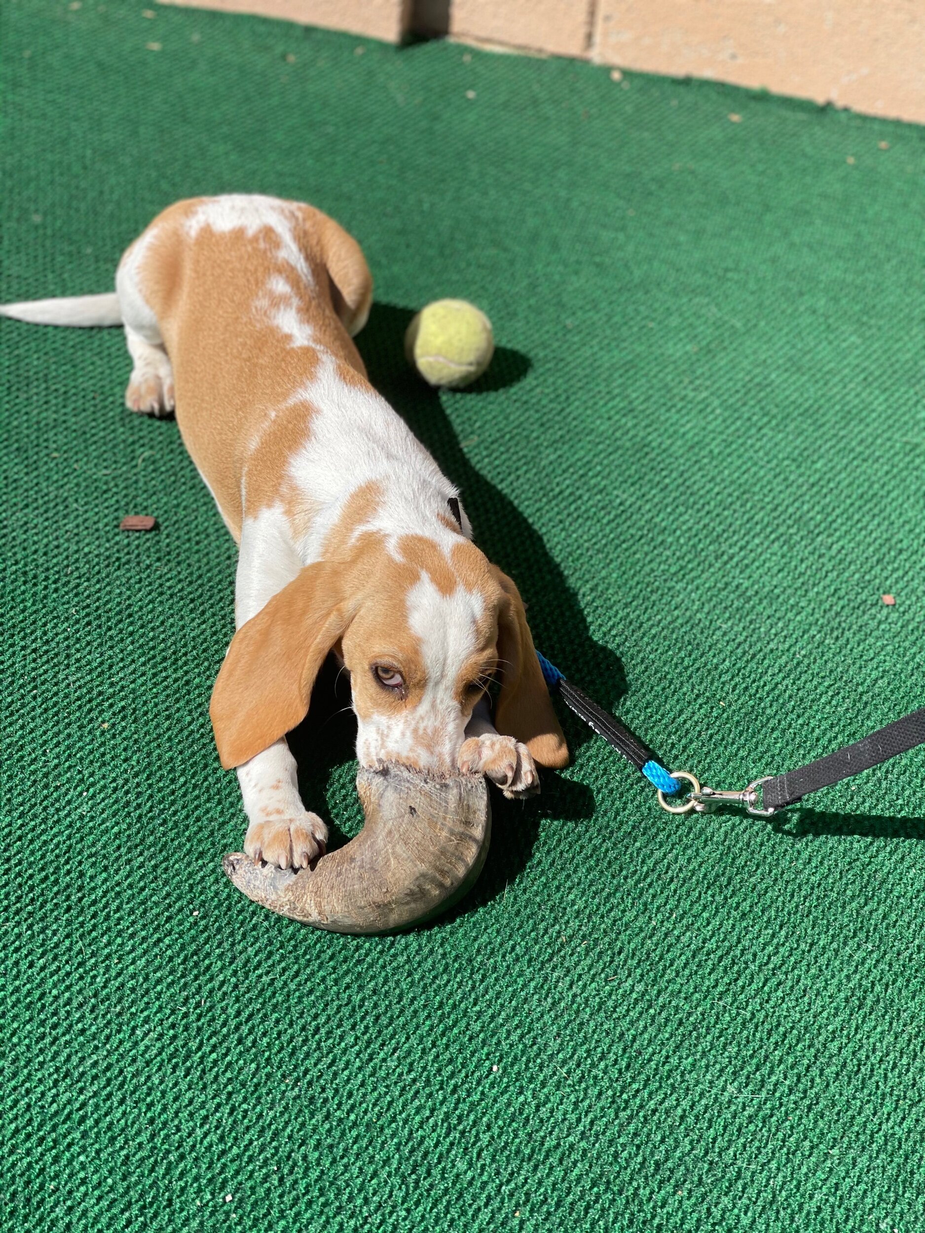 0D7F5A1C-8CE2-4B1C-B9A2-AB1ED3CD00B0