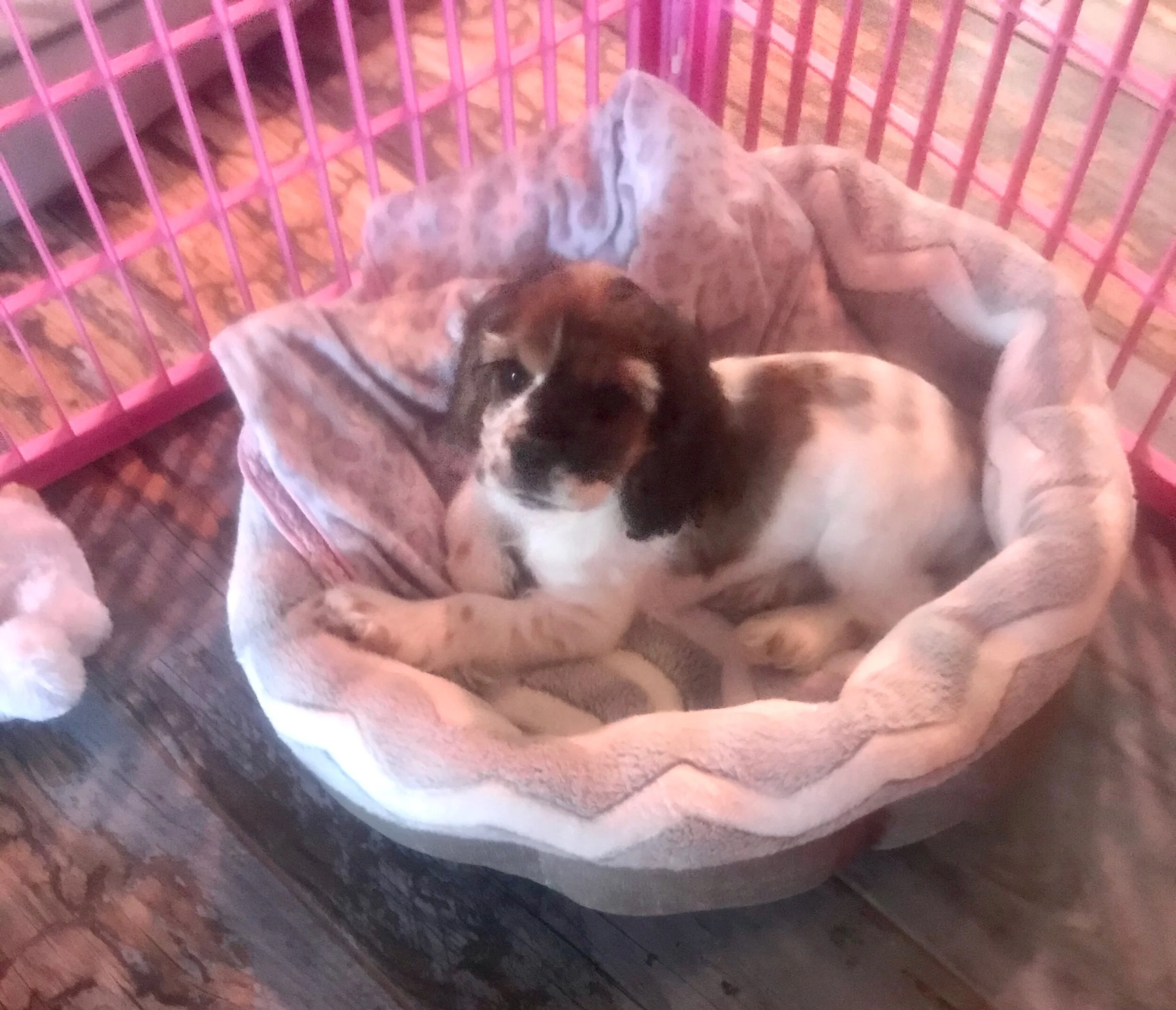 9C32D8C0-C50B-40EF-BB04-CC88DD7A8A83