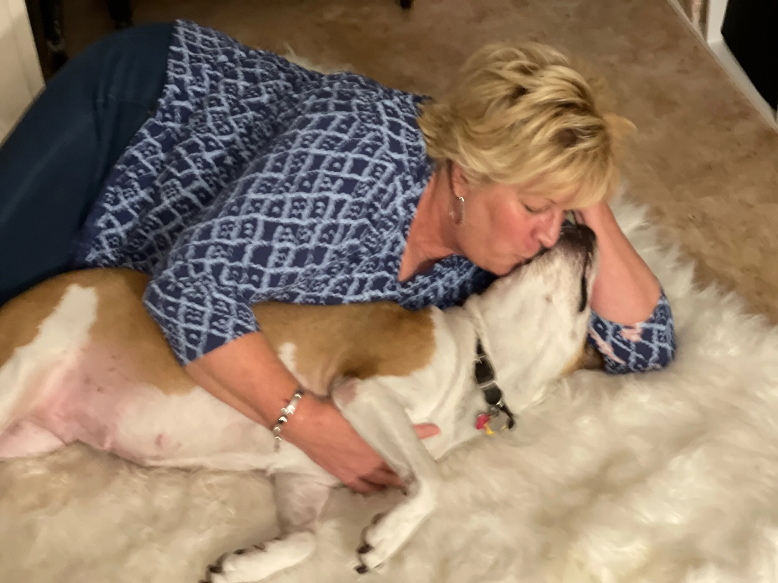 E5B382A8-8AF7-42CB-80B9-11E0CD4CAF25