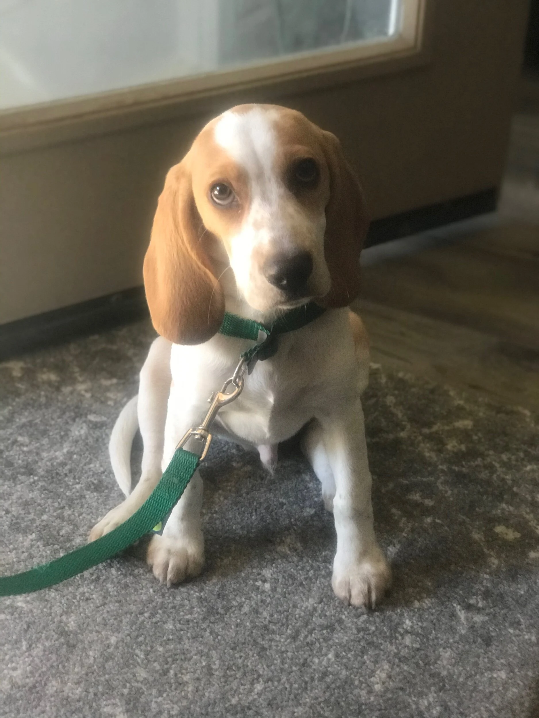 BC30BB2D-1072-4162-8FCD-A36A1F5CC7C3