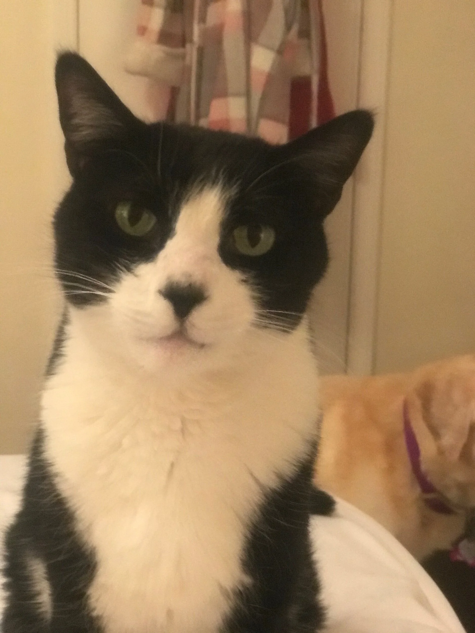 051571D7-07BE-485C-A059-EEC79A1E9BBE