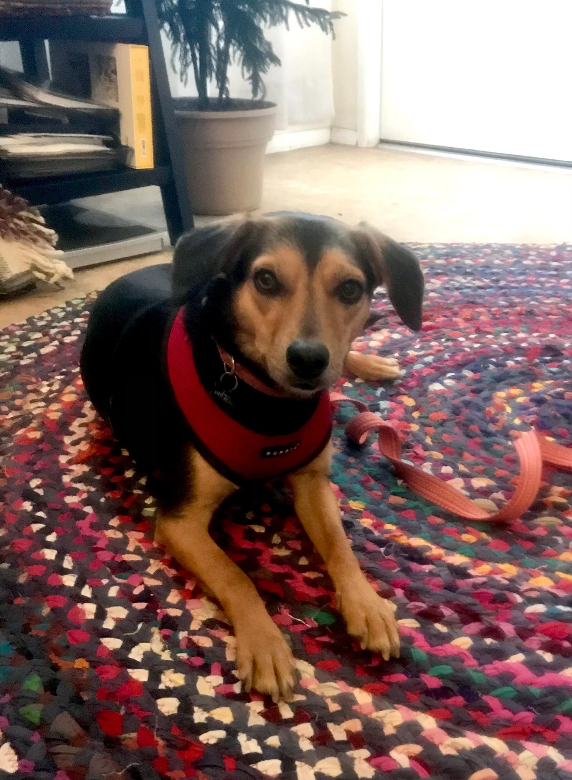 C7C11A87-DE7A-483F-B161-5FCF46480BC4