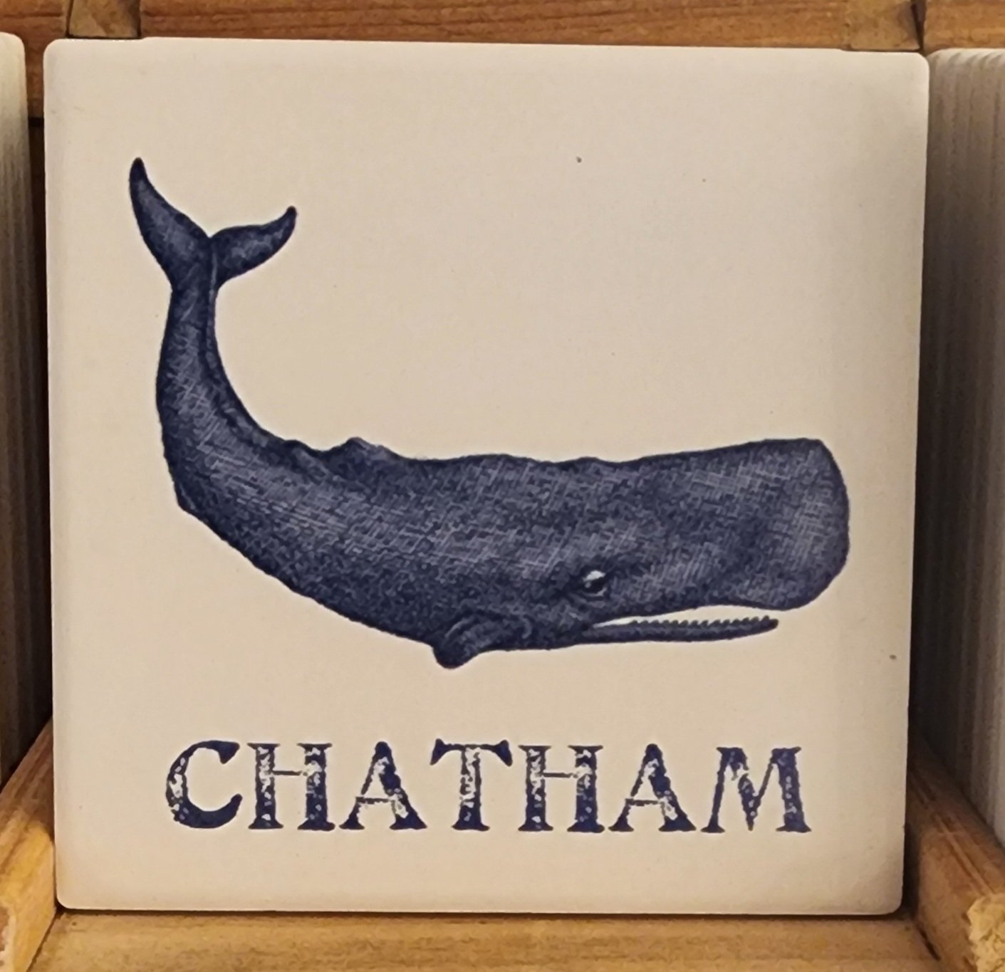 whale.jpg