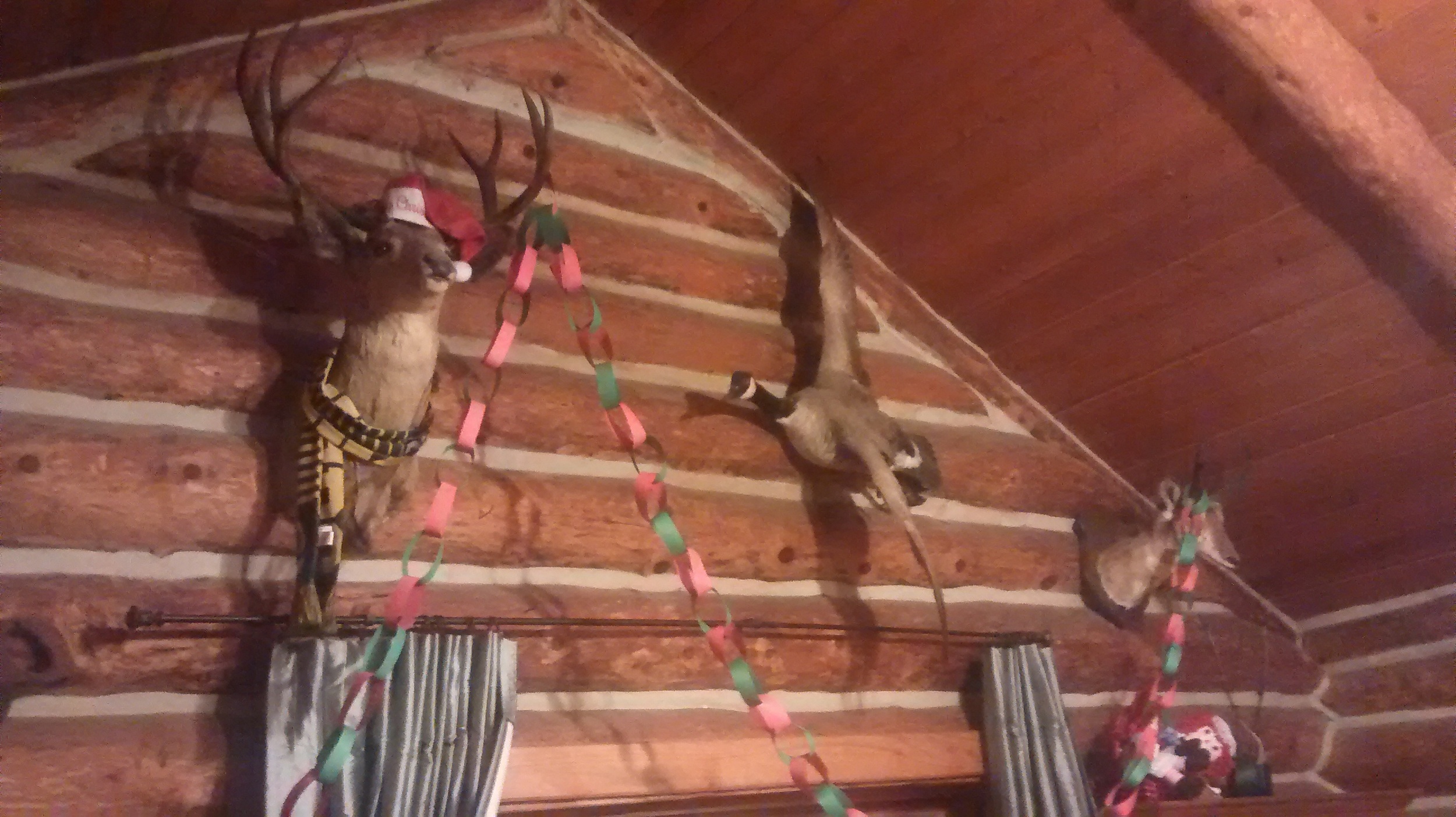 Deck the taxidermy! 