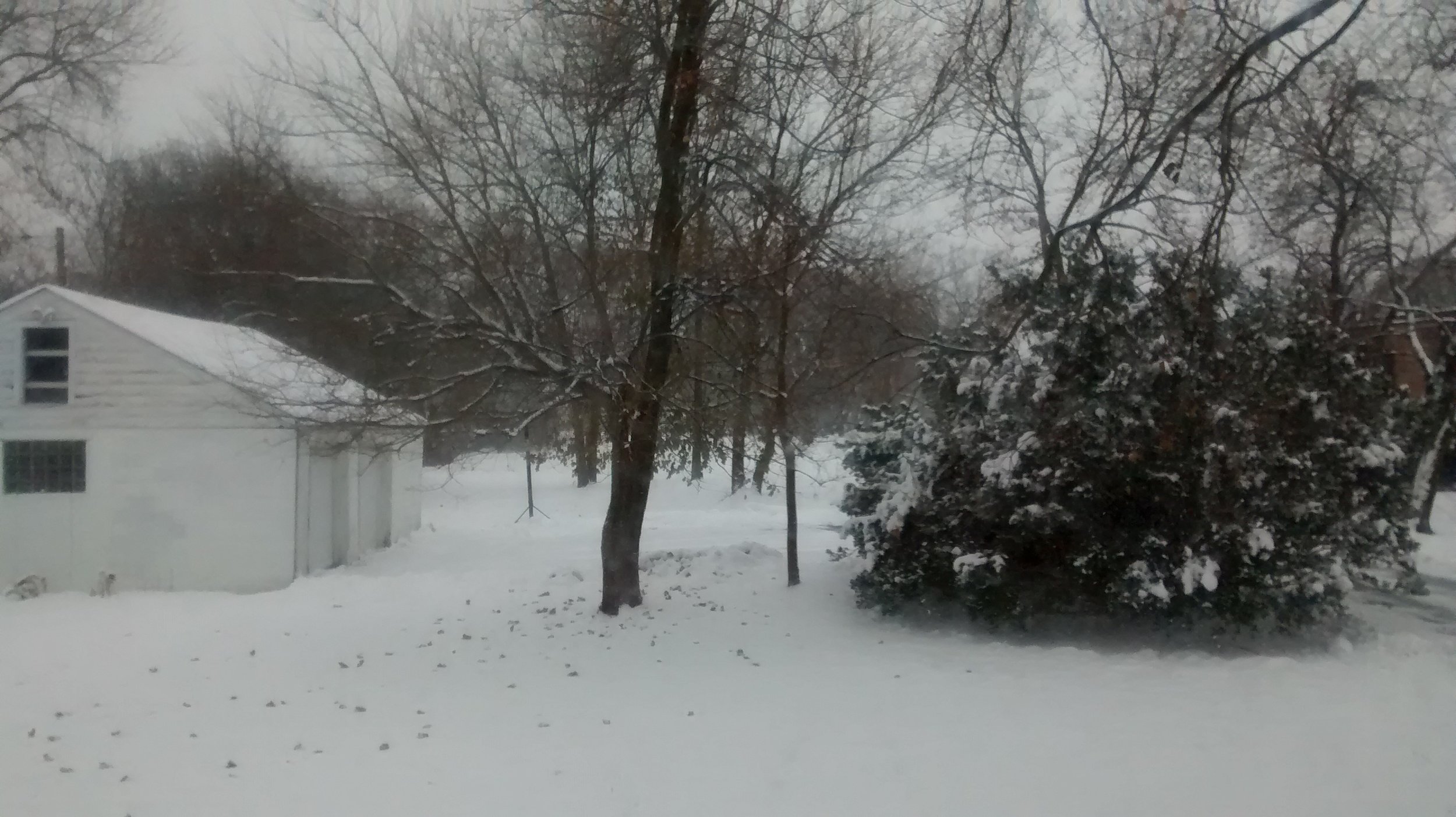 Isn't it just so seasonally appropriate? 