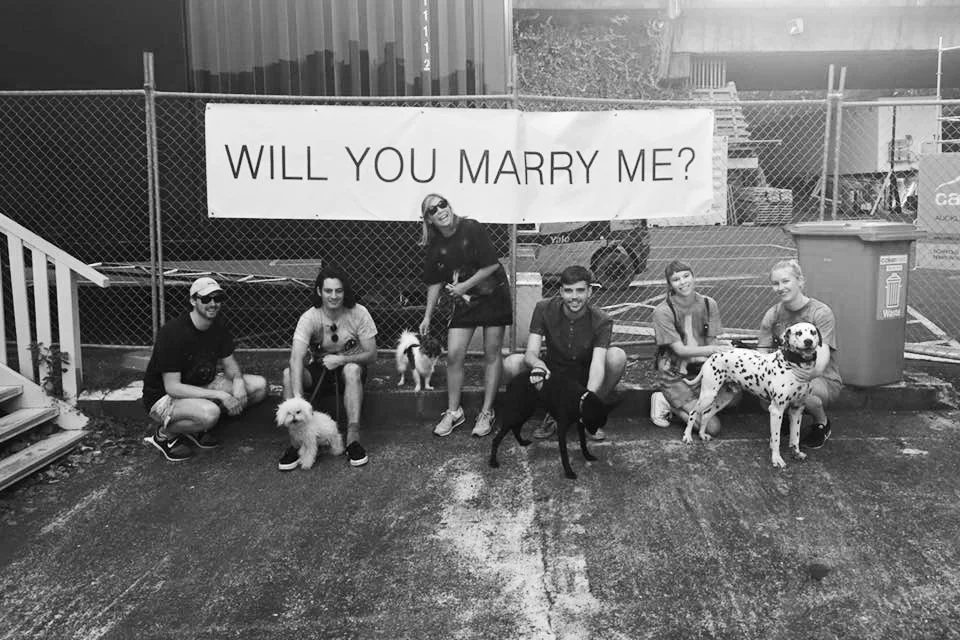 Dog Walk Dating, Basement Theatre 2016