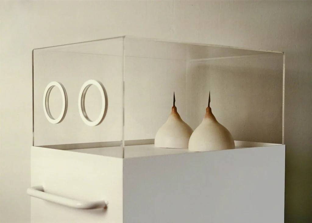 Breast Incubator , 1984