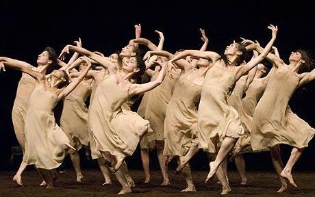 MOVEMENT STUDY: PINA BAUSCH 'RITE OF SPRING'