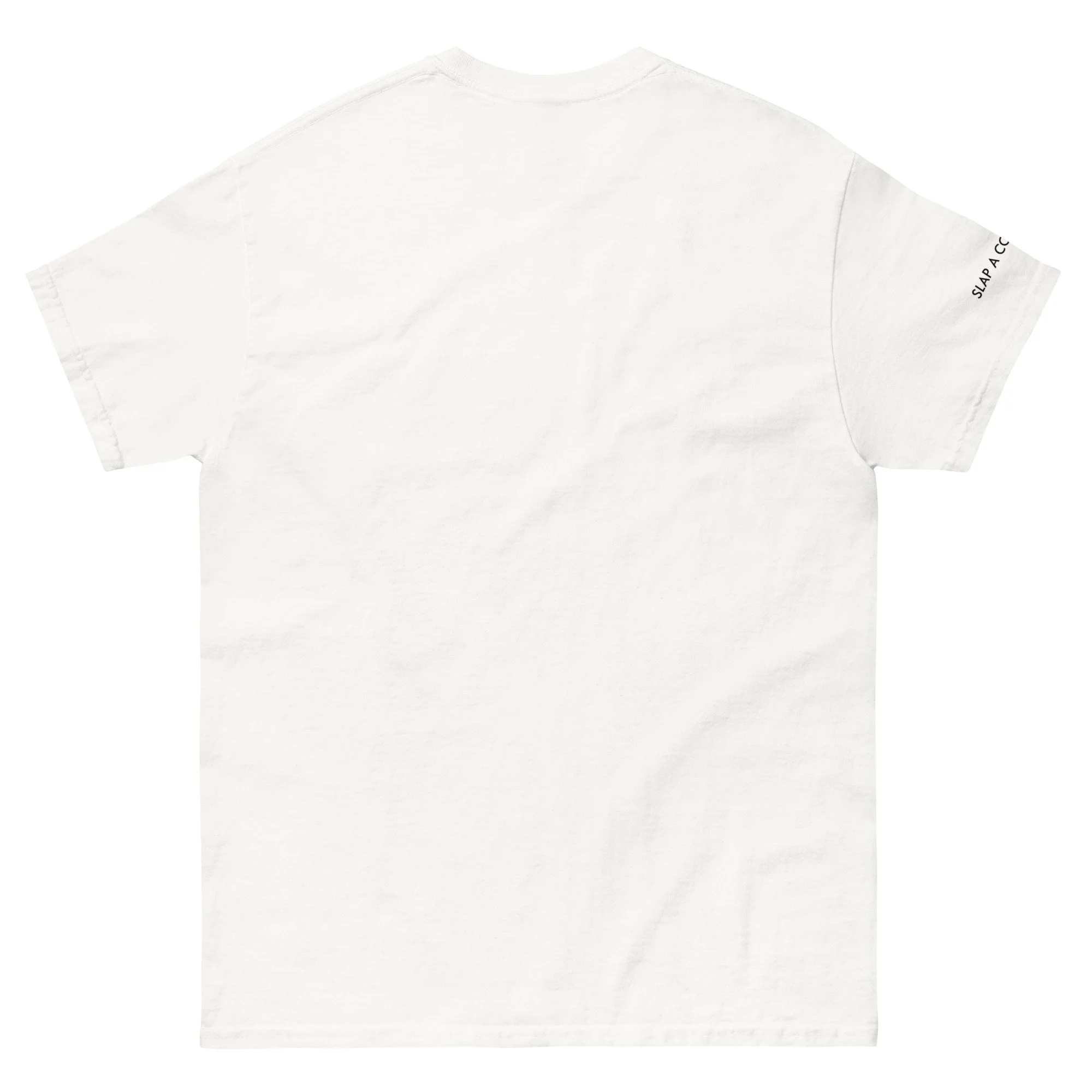 unisex-classic-tee-white-back-690a5141e2ddf.jpg