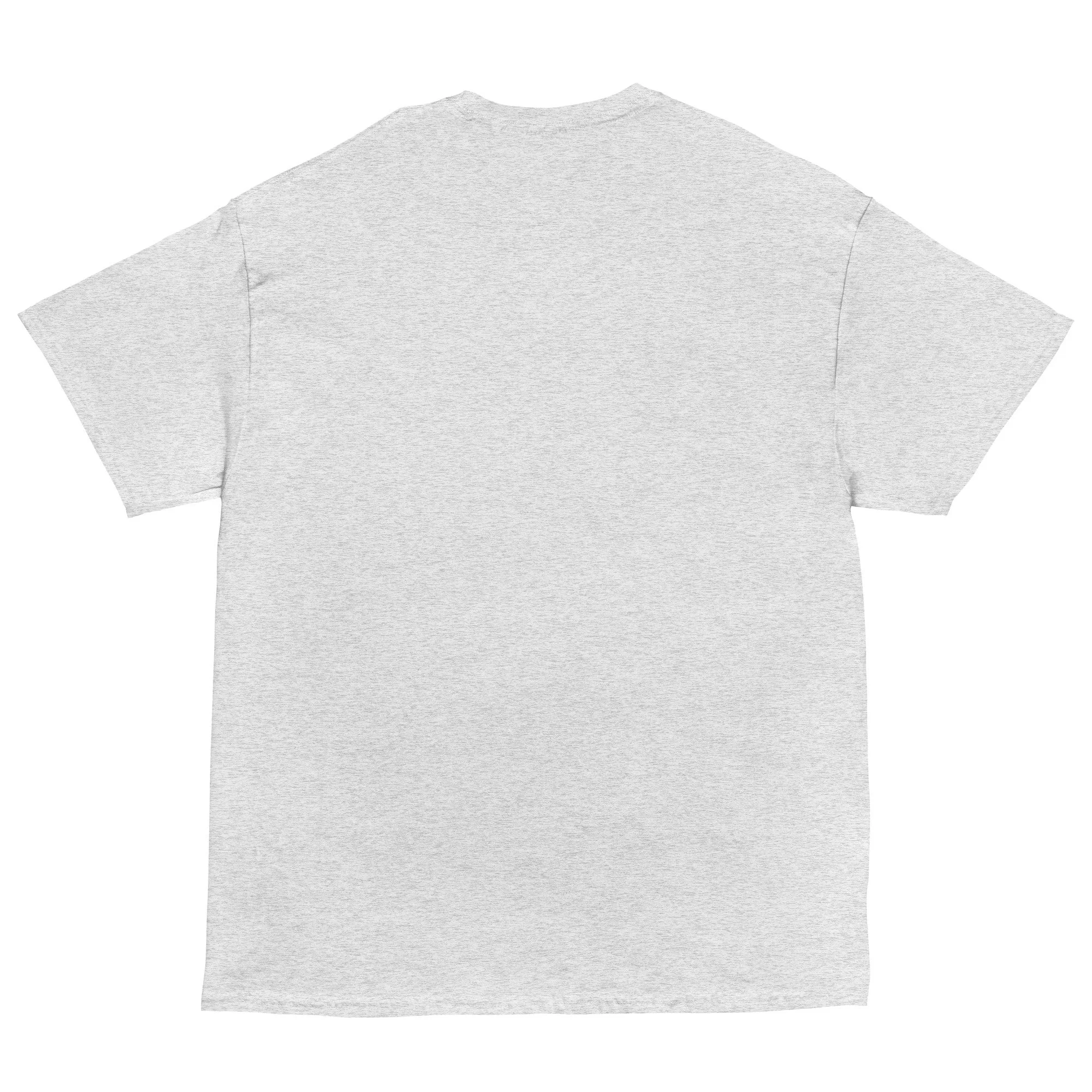 unisex-classic-tee-ash-back-690a51e0b9550.jpg
