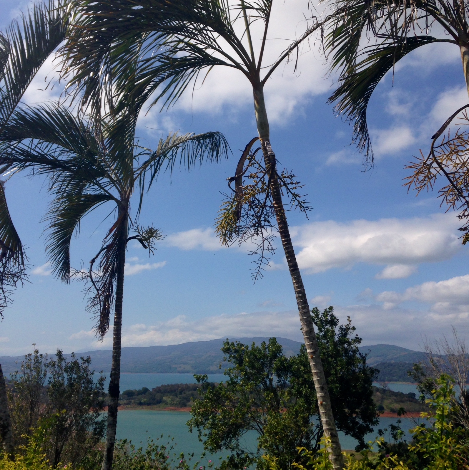 The view over Lake Arenal