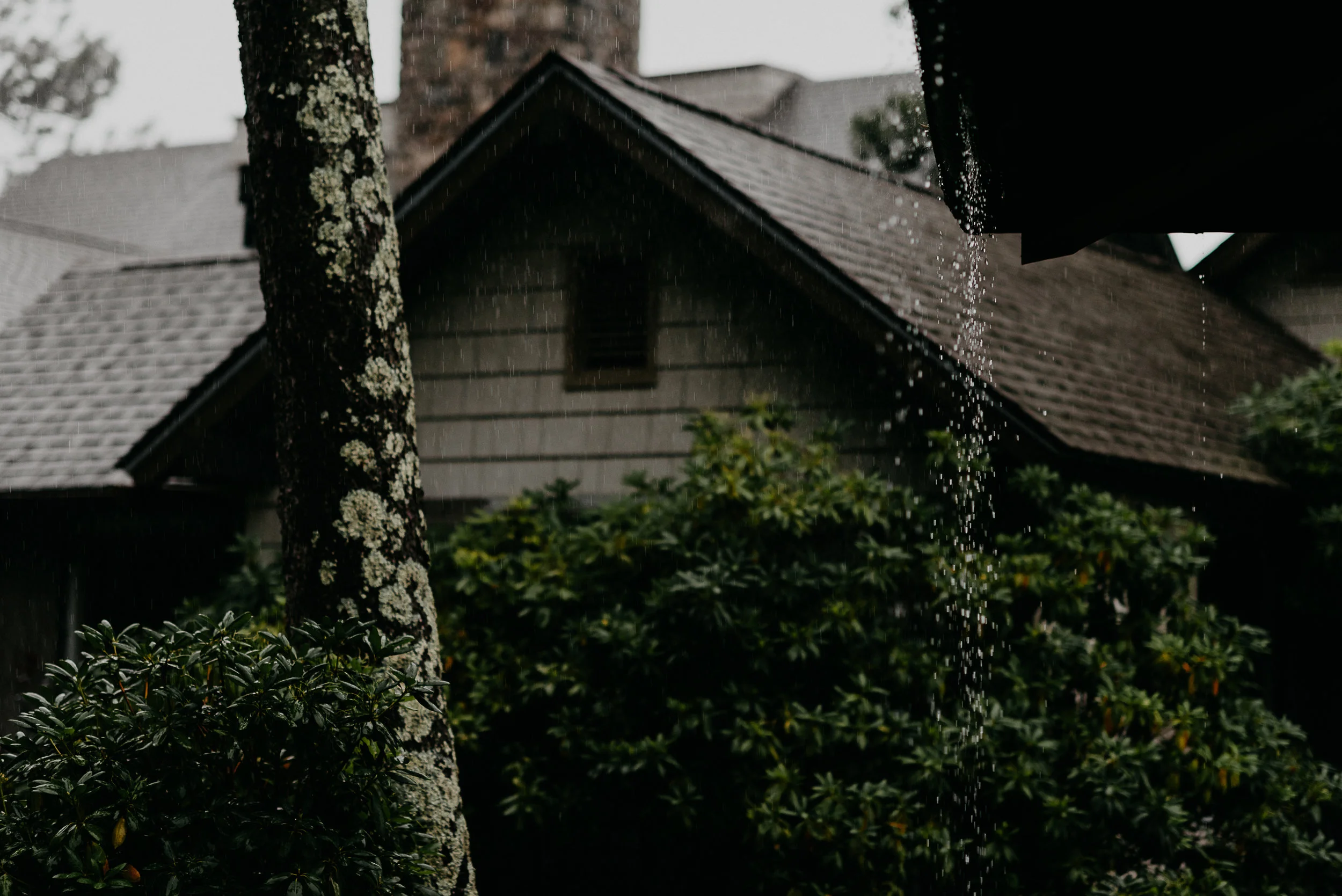 Adriann&JohnWedding-429.JPG