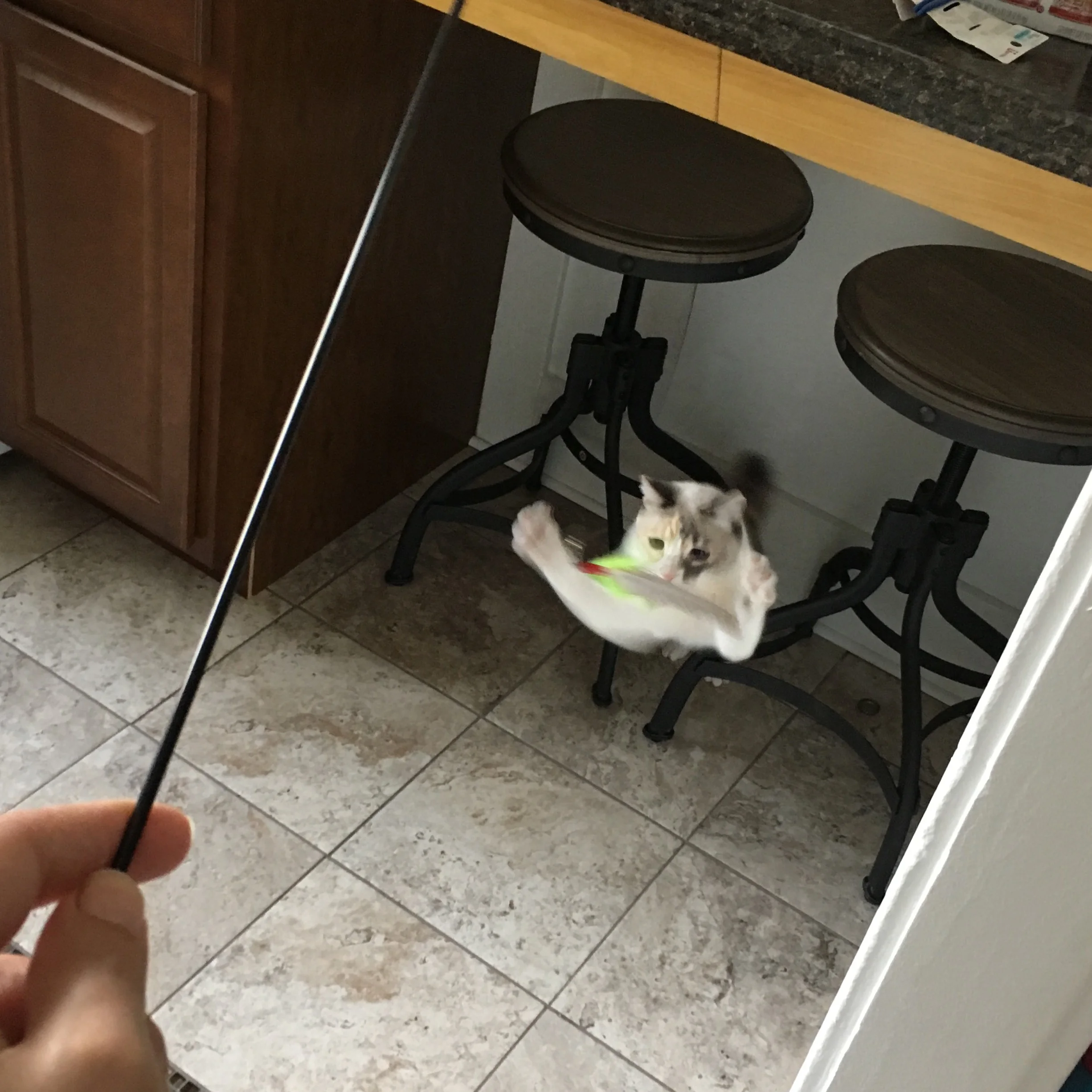 fullsizeoutput_87.jpeg