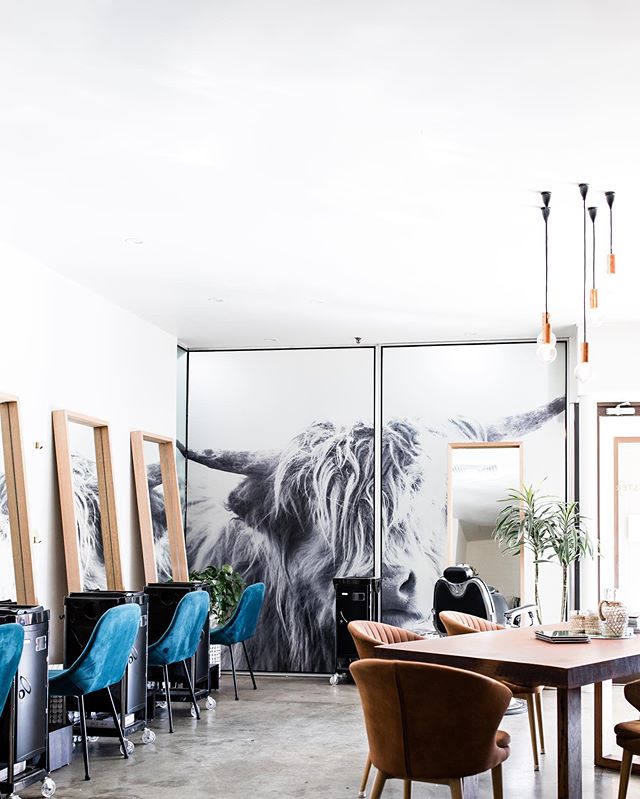 Have you been in the @lexibannister_hair salon lately?! We’ve done a few little renovations to make it more spacious for y’all and user friendly for us! You’re gonna love it. Happy Monday and can’t wait to see you guys at your next appointment, if you haven’t been in to see us, don’t be shy 😉 come on by. #lexibannisterhair #dnaorganics ..
..
..
#hairsalonstyle #canberrahair #canberrasalon #canberralife #saloninterior #interiorsalon #canberrahairdresser #sharemystyleliving #mybohoabode #mybohohome #thenewbohemians #mystylishspace #neutraldecor #stopandstaredecor #myinteriorvibe