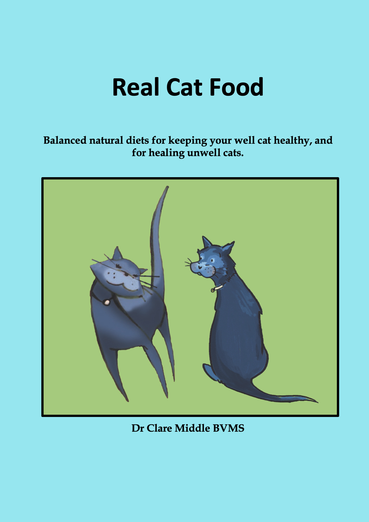 Real Cat Food_Cover_B5.jpeg