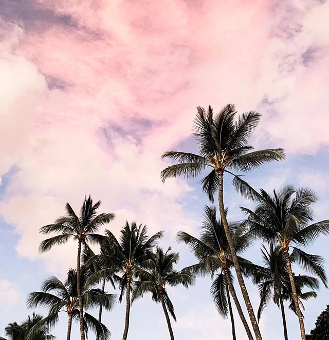 On our last night in Maui we went down to the beach to watch the sunset. The girls were running around, splashing in the waves, when Sloane ran over to me and told me to turn around. Behind us was the most beautiful cotton candy sky with these palm t