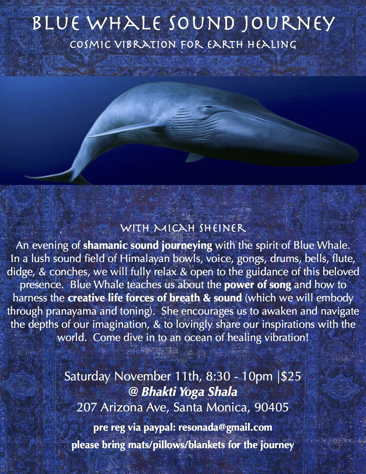 Blue whale sound journey .jpg