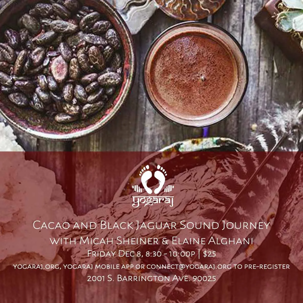 2017.12.08.cacaoblackjaguar.jpg