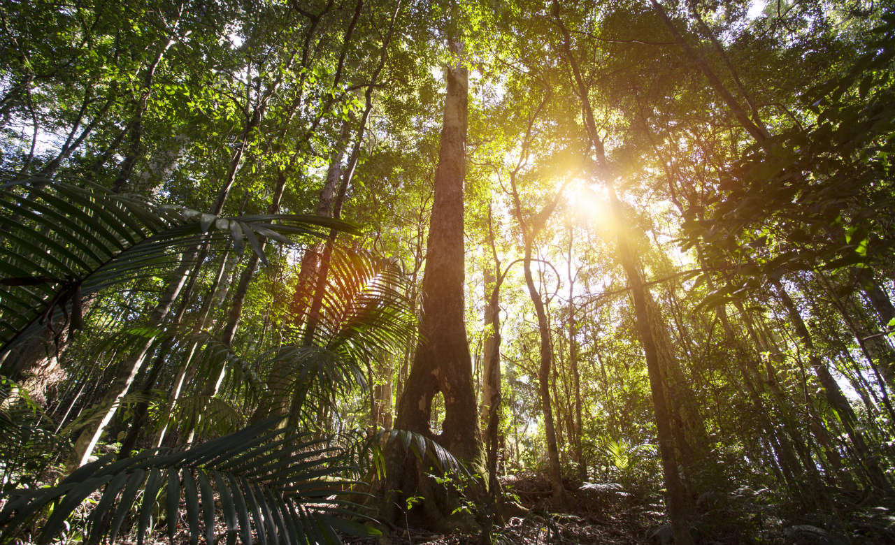 No ghost stories can quite make you shit yourself like those premised in an eery, isolated forest. HaveYouHeard is conjuring the context for tales to become truth in a 24-hour party just outside of Sydney – BYO food, drinks and camping gear. Limited tix remains at: http://www.haveyouheardevents.com/ - !theafterlifetickets/c6he