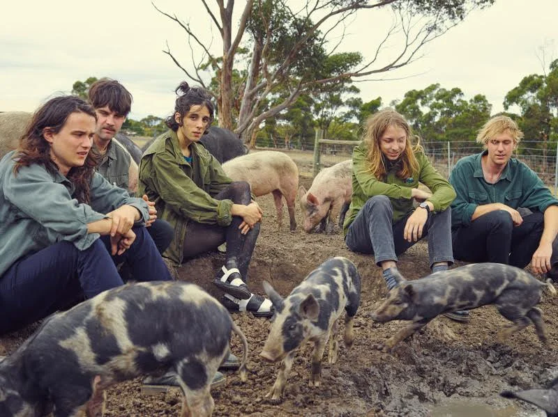 Feel-good psychedelic nightmare: New music and video from Melbourne’s The Murlocs