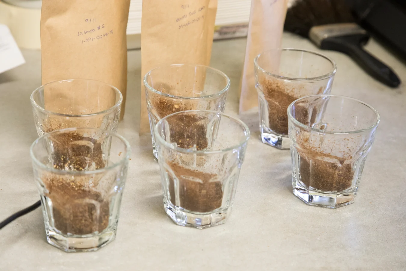 Caravela: The Value of Education&nbsp;