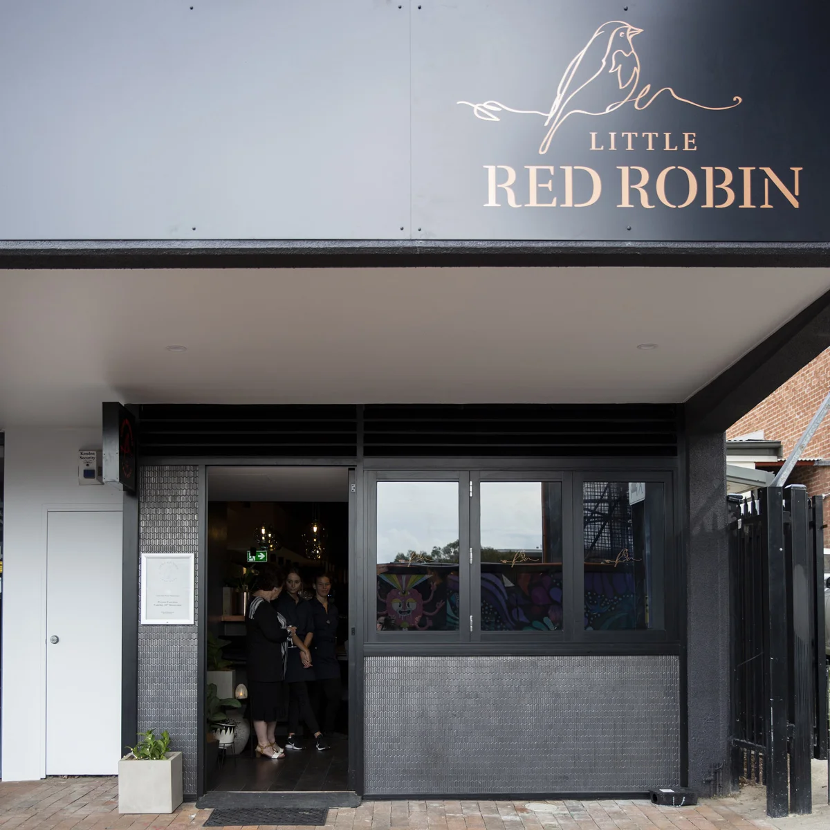 little red robin,