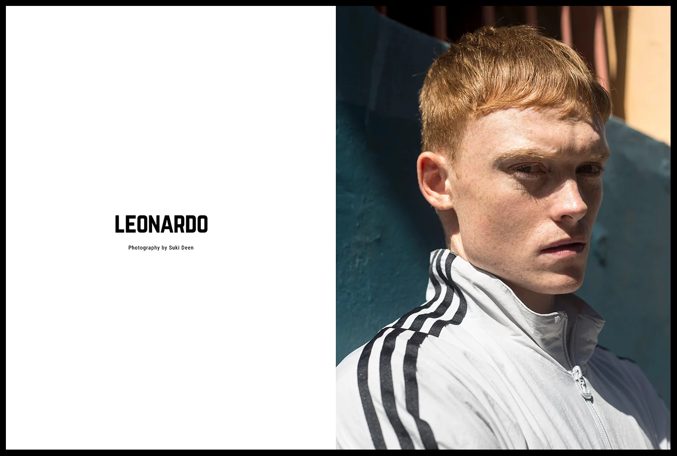 Leonardo