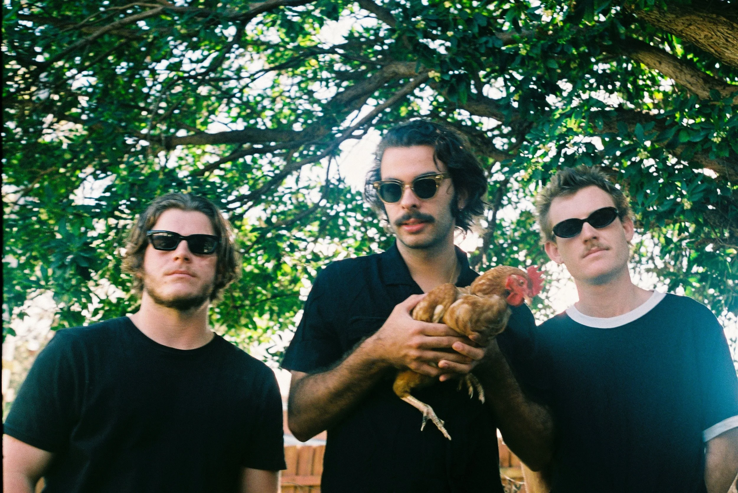 Release of the Week 27/5: Crocodylus ‘Ghosts’