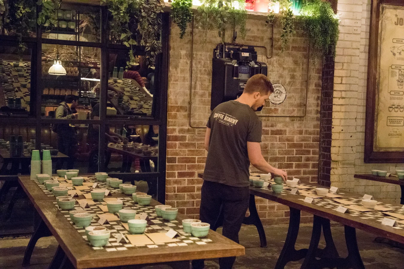 grounds cupping15byo.JPG