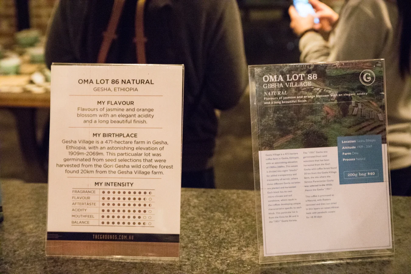 grounds cupping14byo.JPG