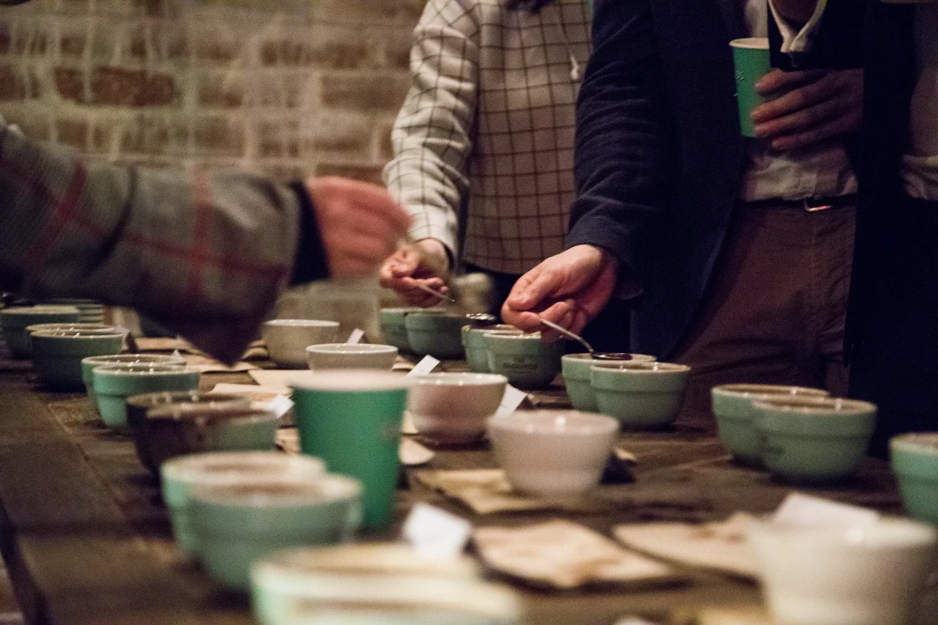 grounds cupping33byo.JPG
