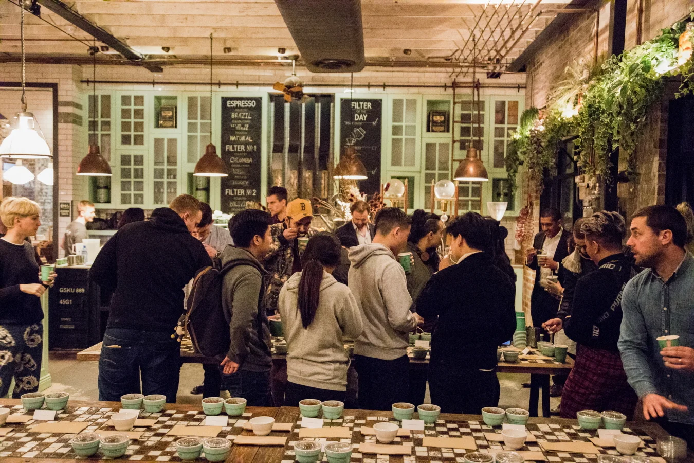 grounds cupping34byo.JPG