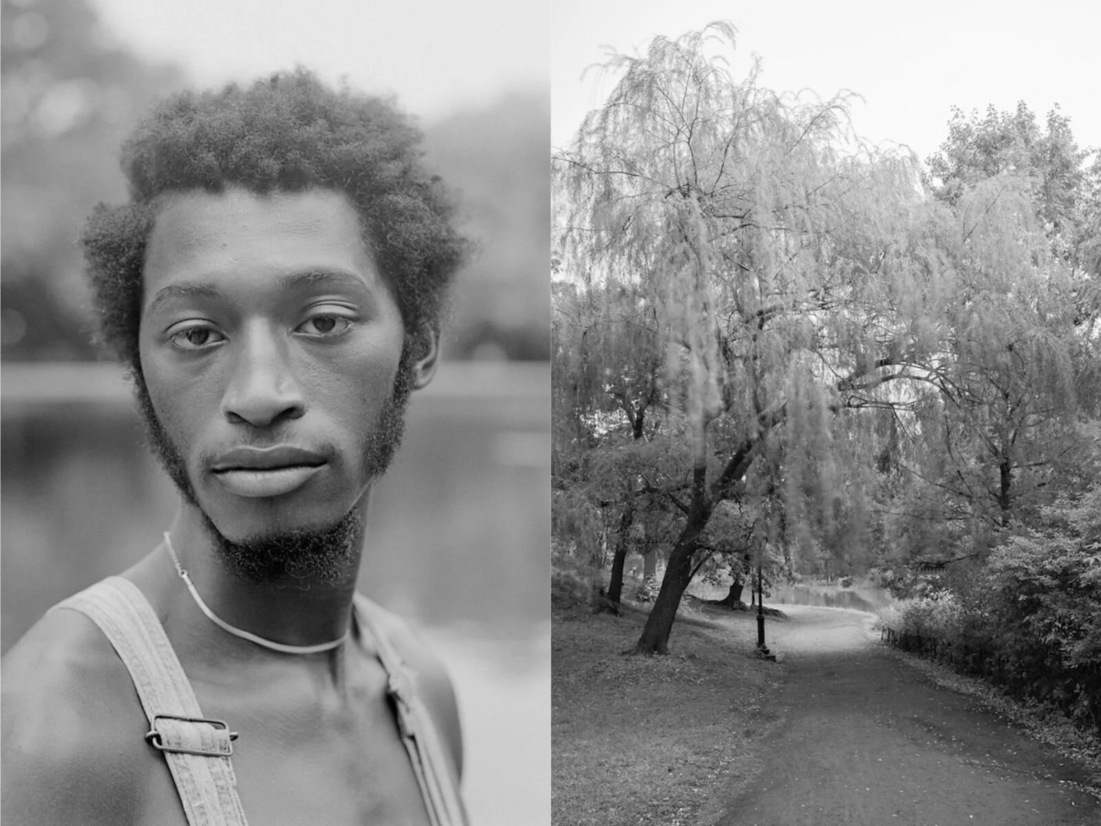 “Languor” by Photographer Donavon Smallwood