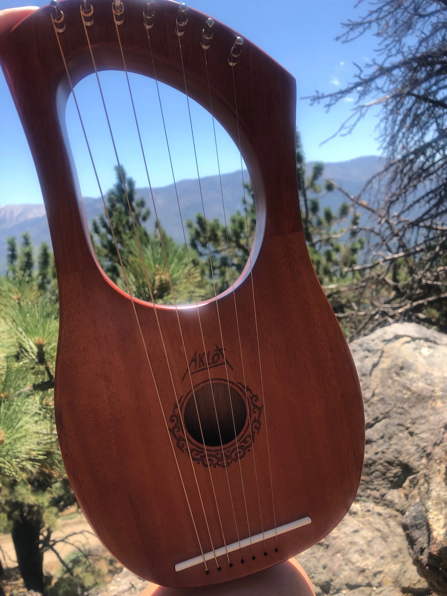 Bought a lyre