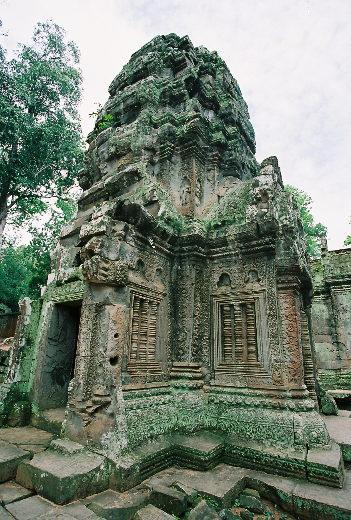 Ta Prohm, Siem Reap (2011)