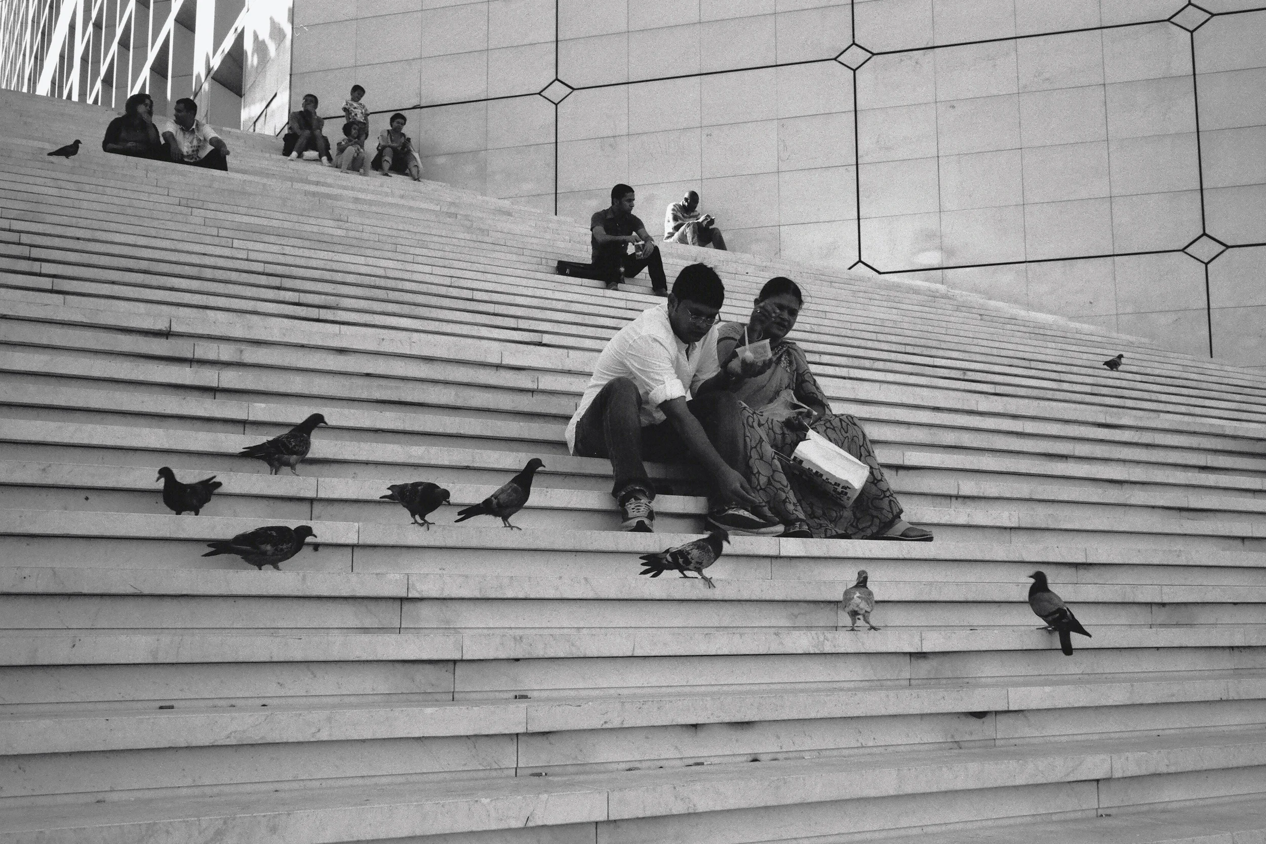 Bird Feeding at the Grand Arche, La Défanse, Paris (2012)