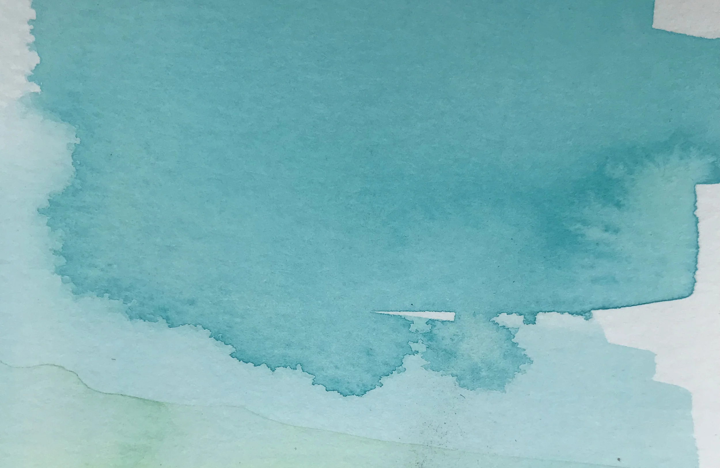11-closeup2.jpg