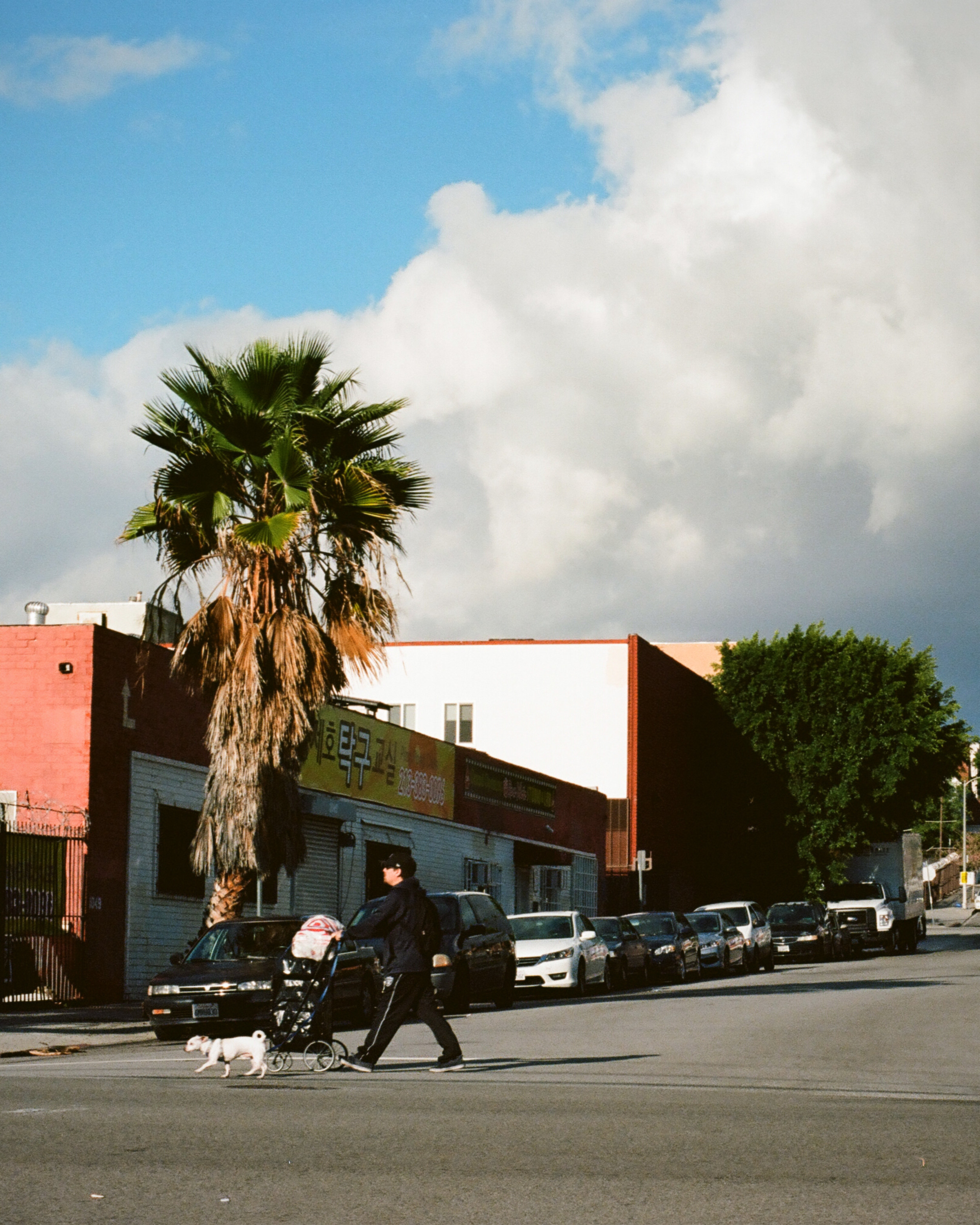 LA Street.jpg