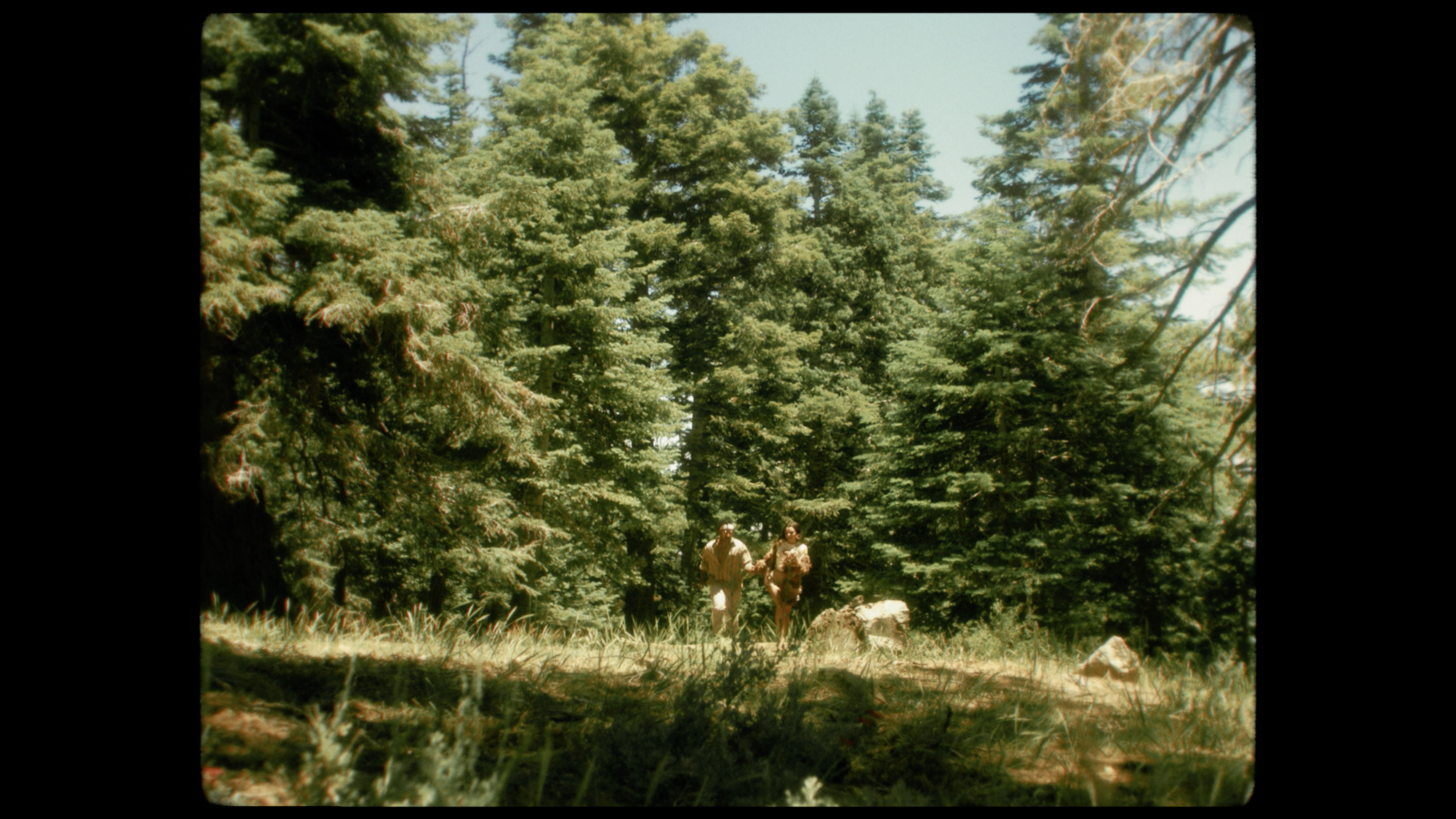 Screen Shot 2018-07-19 at 7.49.29 PM.png