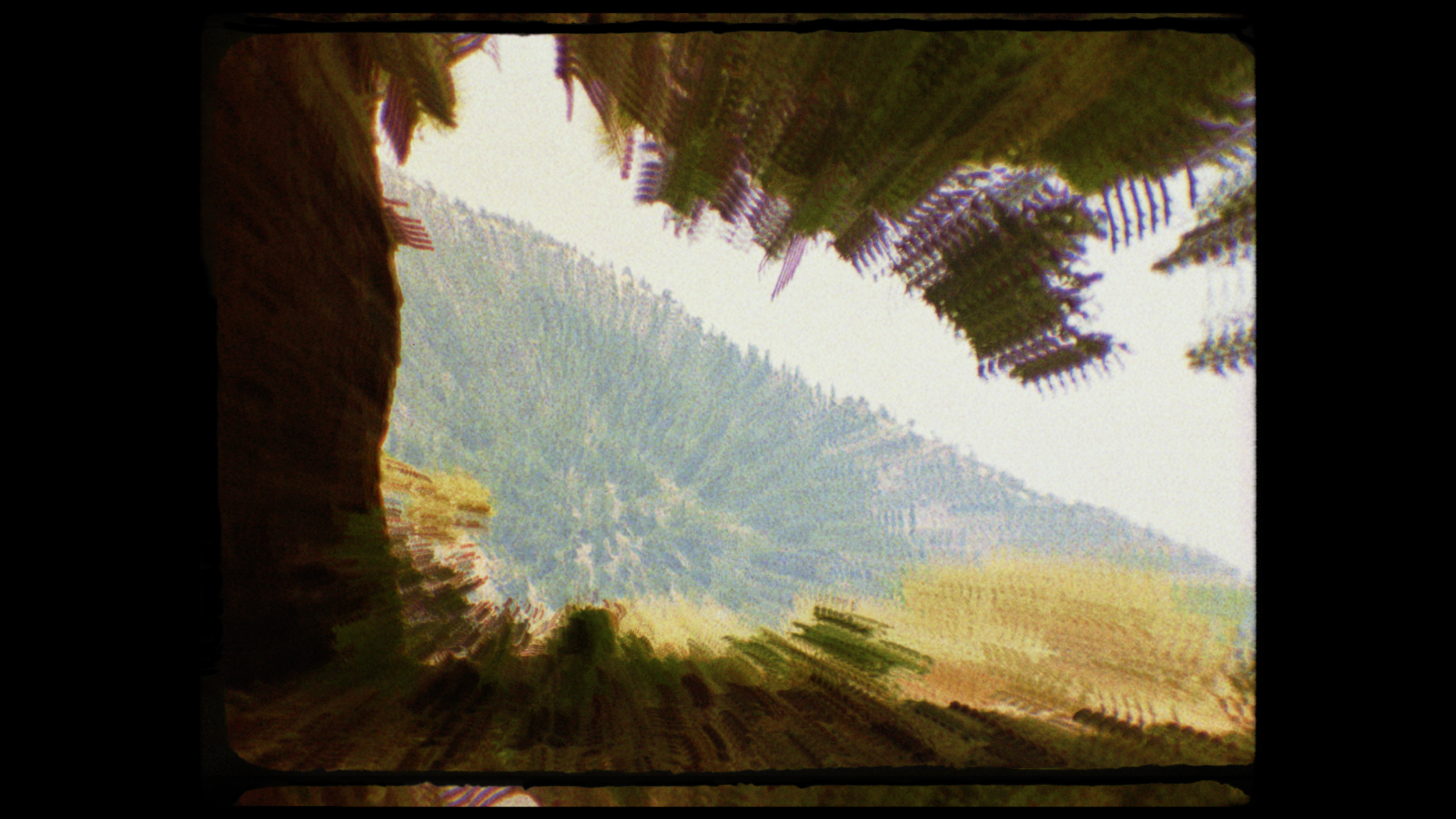 Screen Shot 2018-07-19 at 7.47.47 PM.png