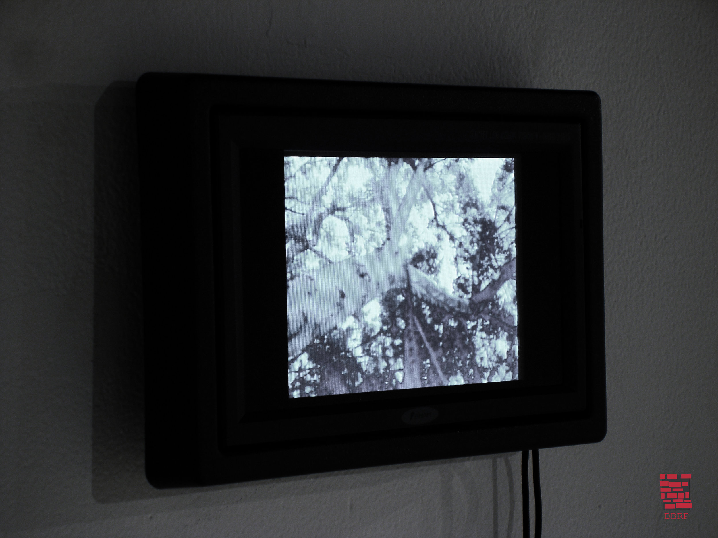 untitled3_monitor.jpg