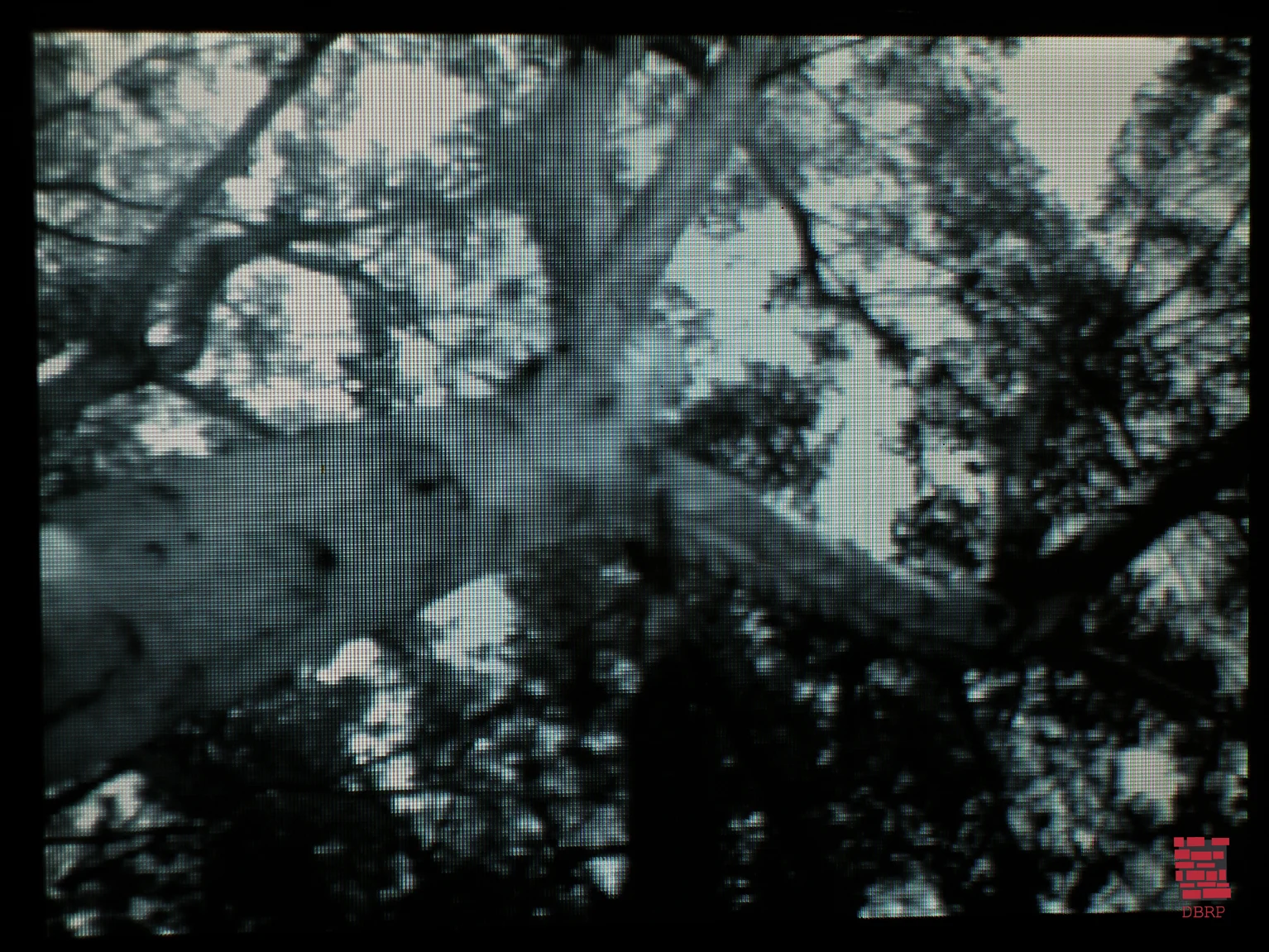 untitled4_detail.jpg