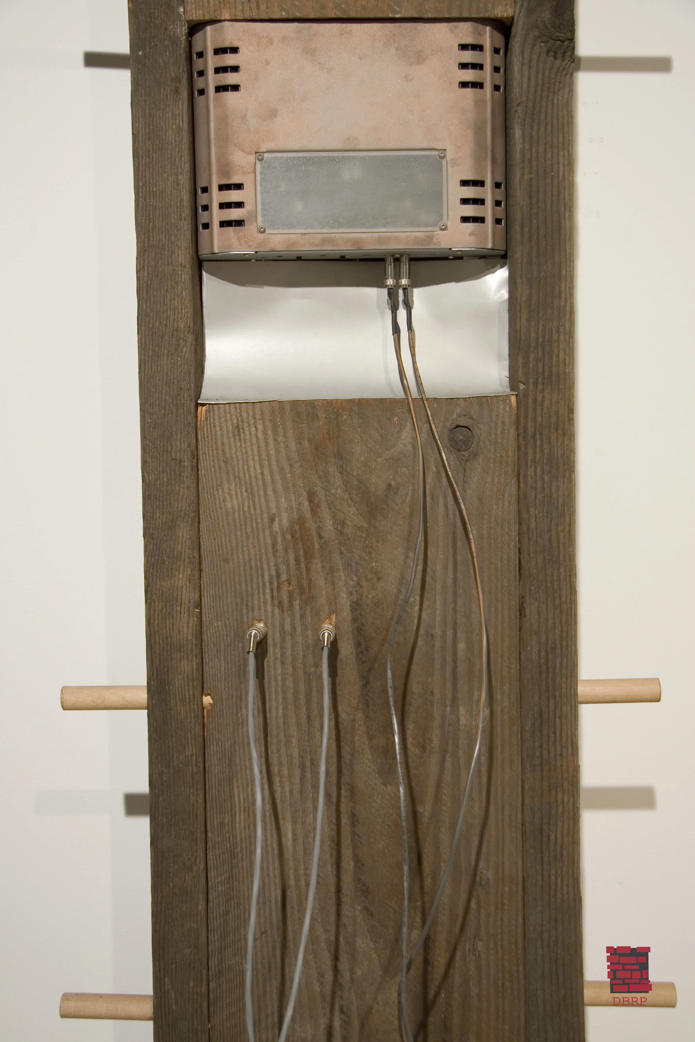 tree2_amp.jpg