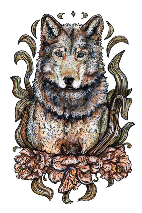 "WOLF FLOWER" 2017 - INK & WATERCOLOR ON PAPER