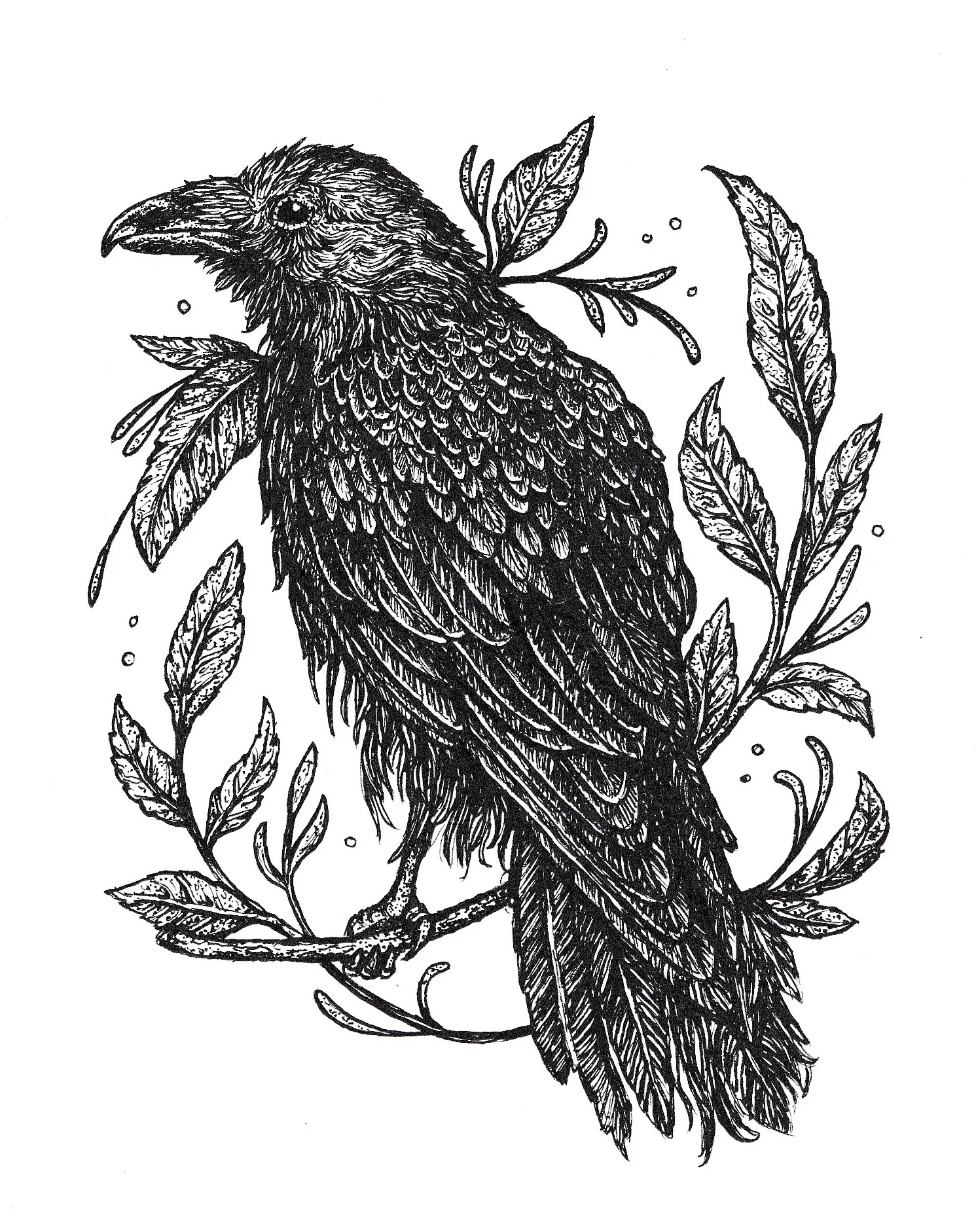 "RAVEN" 2018 - INK ON PAPER