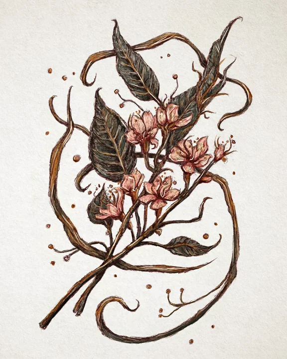 "BLOSSOM" 2018 - GRAPHITE ON PAPER, DIGITALLY COLORED