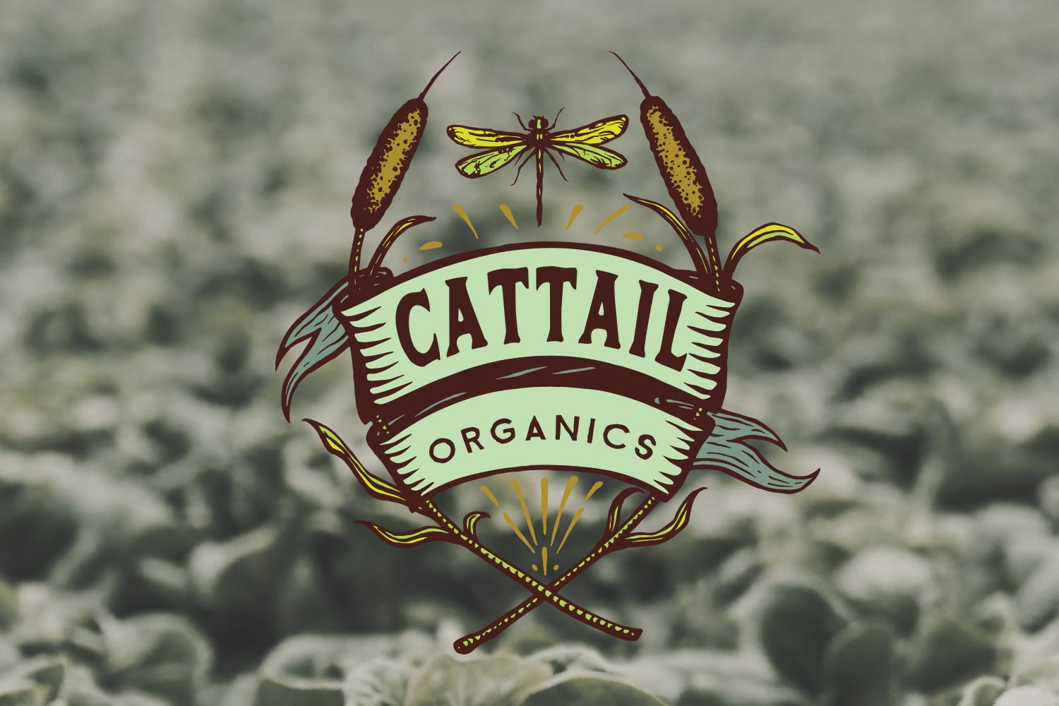 Cattail-Organics-Logo-Portfolio.jpg