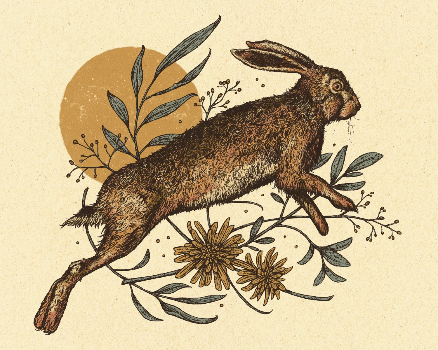 “GOLDEN HOUR HARE” 2019 - INK ON PAPER, DIGITALLY COLORED