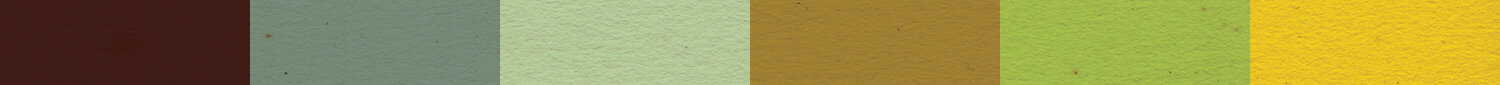 Cattail-Organics-Swatches.jpg